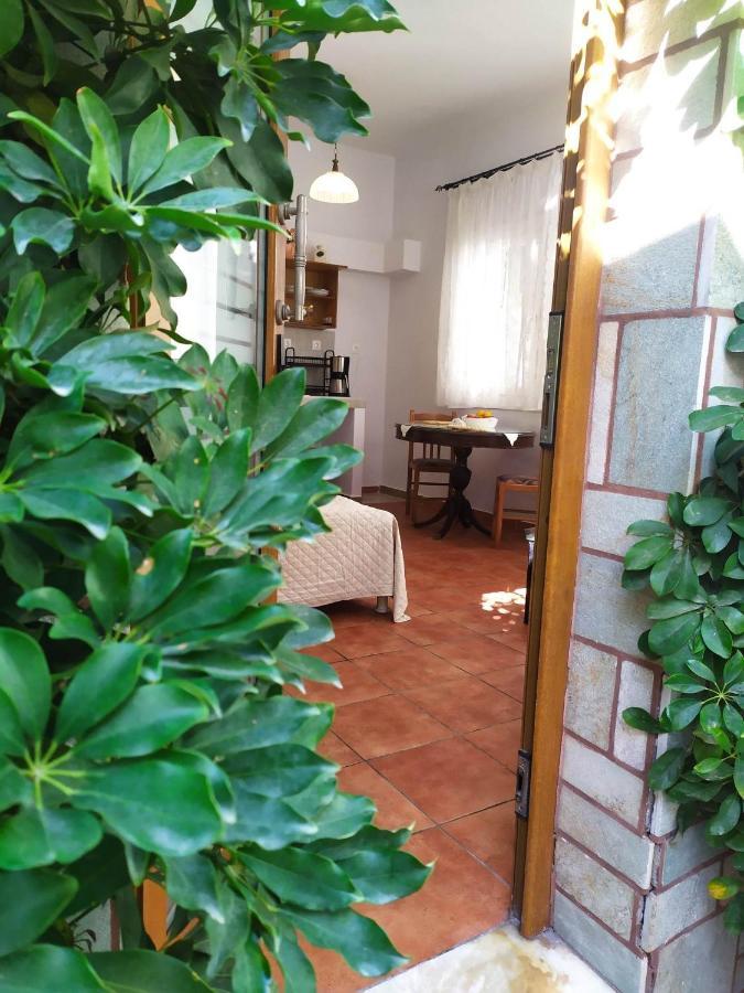 Dream Catcher Studio Скопелос Экстерьер фото
